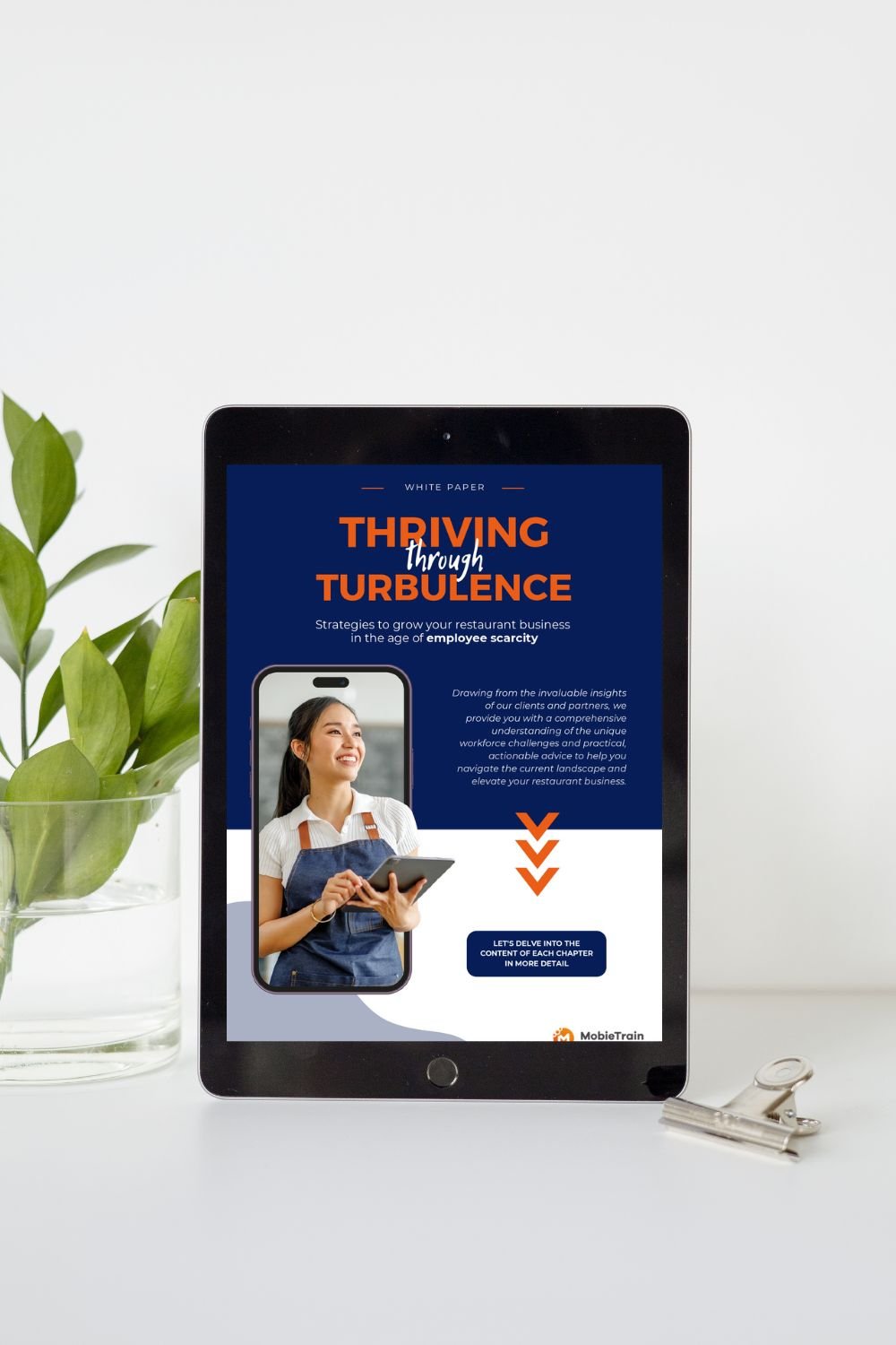 Ebook Restaurant Chains (Preview)
